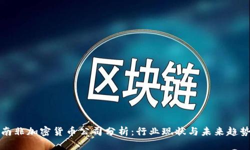 南非加密货币公司分析：行业现状与未来趋势