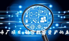 加密货币厂项目：解密数字资产的未来之路