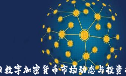 
每日数字加密货币市场动态与投资指南