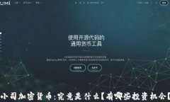 小司加密货币：究竟是什么？有哪些投资机会？