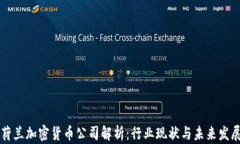 荷兰加密货币公司解析：行业现状与未来发展