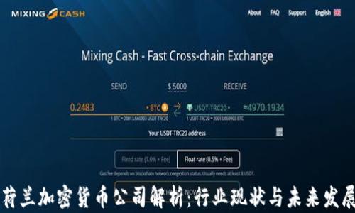 
荷兰加密货币公司解析：行业现状与未来发展