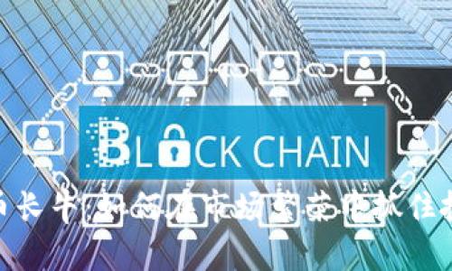 加密货币长牛：如何在市场繁荣中抓住投资机会