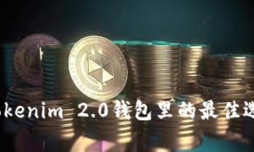 Algo放在Tokenim 2.0钱包里的最佳选择是什么？