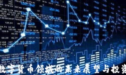 
加密数字货币领域的未来展望与投资策略