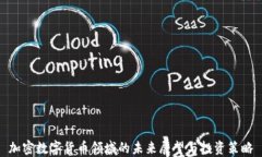 加密数字货币领域的未来展望与投资策略