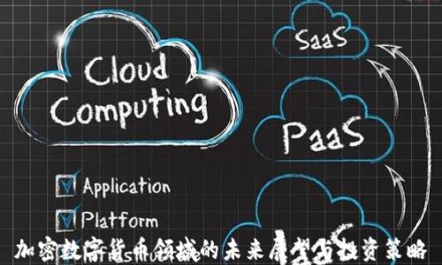 
加密数字货币领域的未来展望与投资策略