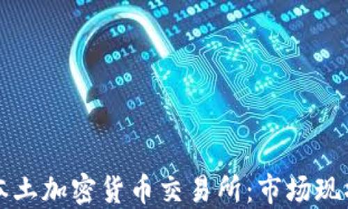 
探索新加坡本土加密货币交易所：市场现状与未来展望