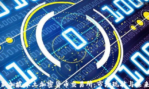 
探索新加坡本土加密货币交易所：市场现状与未来展望