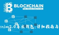 如何使用Tokenim2.0导出钱包：详细指南与常见问题