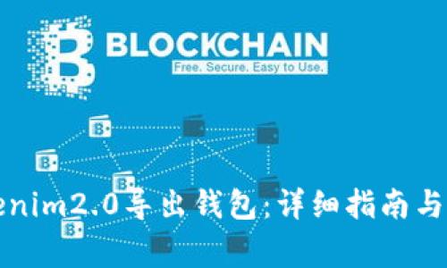 如何使用Tokenim2.0导出钱包：详细指南与常见问题解答