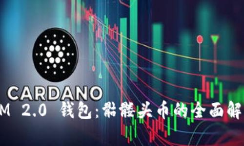  TokenIM 2.0 钱包：骷髅头币的全面解析与应用