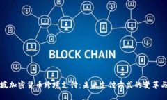 新加坡加密货币跨境支付：未来支付方式的变革