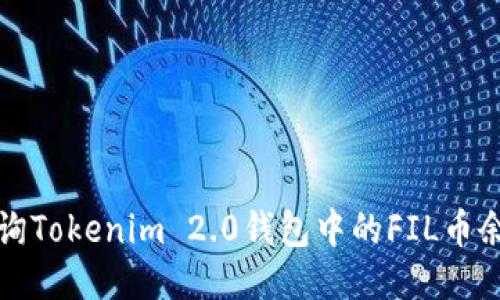 如何查询Tokenim 2.0钱包中的FIL币余额指南