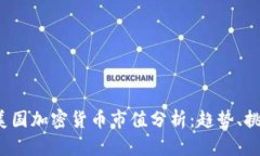 2023年美国加密货币市值分析：趋势、挑战与展望
