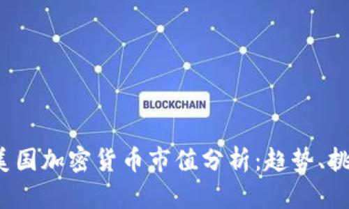 2023年美国加密货币市值分析：趋势、挑战与展望