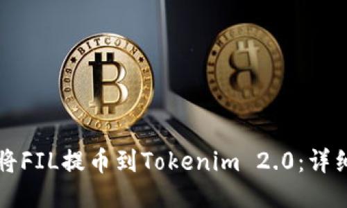 如何将FIL提币到Tokenim 2.0：详细指南