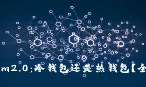 ### Tokenim2.0：冷钱包还是热钱包？全面解析与分析