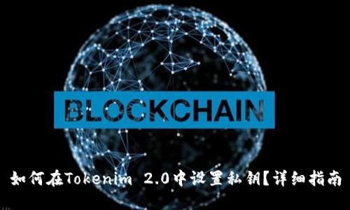 如何在Tokenim 2.0中设置私钥？详细指南