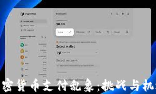 
加密货币支付乱象：挑战与机遇
