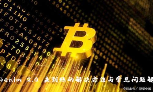Tokenim 2.0 未到账的解决方法与常见问题解析