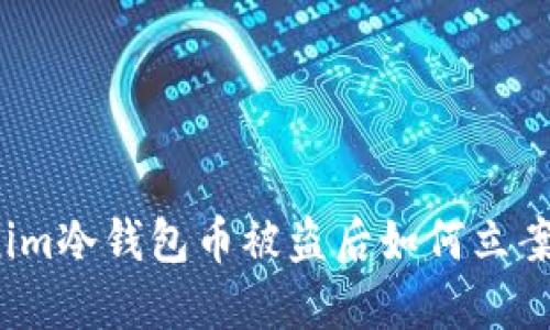 Tokenim冷钱包币被盗后如何立案处理?