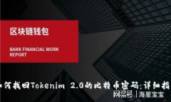 如何找回Tokenim 2.0的比特币密码：详细指南