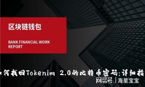 如何找回Tokenim 2.0的比特币密码：详细指南