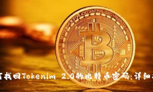 如何找回Tokenim 2.0的比特币密码：详细指南