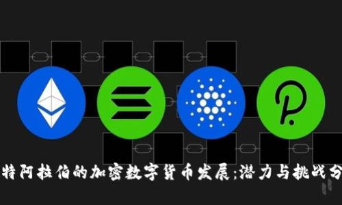 沙特阿拉伯的加密数字货币发展：潜力与挑战分析