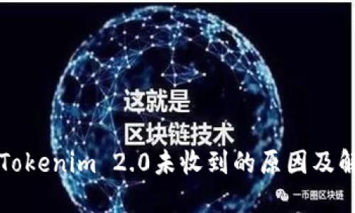 转账到Tokenim 2.0未收到的原因及解决方案
