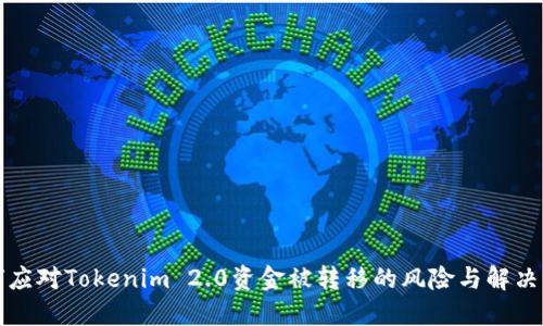 如何应对Tokenim 2.0资金被转移的风险与解决方案