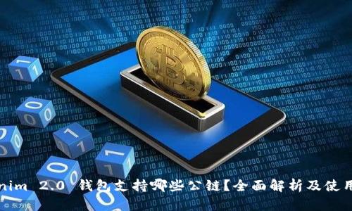 Tokenim 2.0 钱包支持哪些公链？全面解析及使用指南