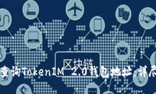 如何查询TokenIM 2.0钱包地址：详尽指南