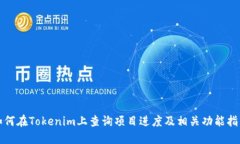 如何在Tokenim上查询项目进度及相关功能指南