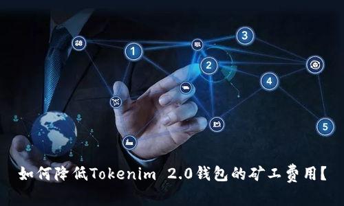 如何降低Tokenim 2.0钱包的矿工费用？