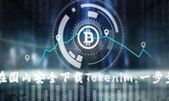 如何在国内安全下载Tokenim：一步步指南