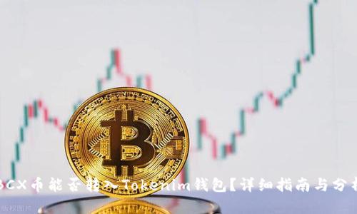 BCX币能否转入Tokenim钱包?详细指南与分析
