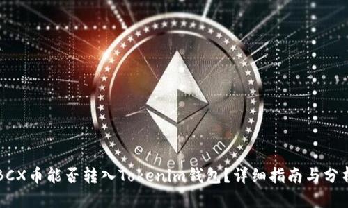 BCX币能否转入Tokenim钱包?详细指南与分析