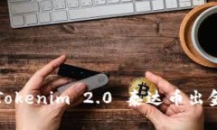如何进行Tokenim 2.0 泰达币出金操作指南