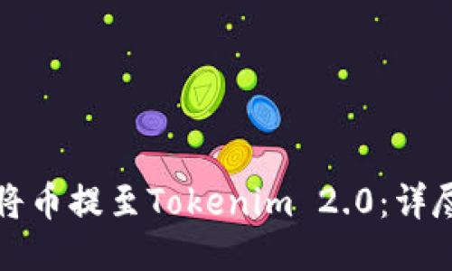 如何将币提至Tokenim 2.0：详尽指南