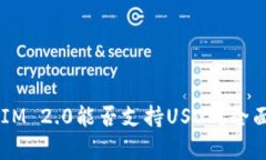 TokenIM 2.0能否支持USDT？全面解析！