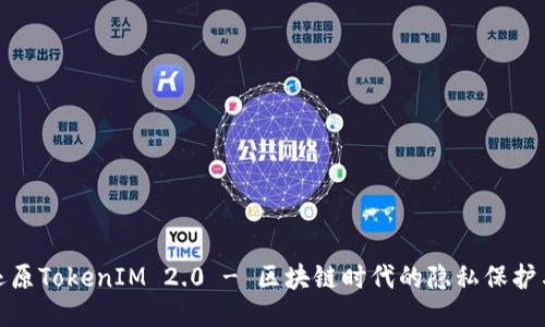 : 一对一还原TokenIM 2.0 - 区块链时代的隐私保护与数据管理