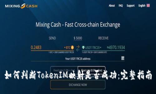 如何判断TokenIM映射是否成功：完整指南