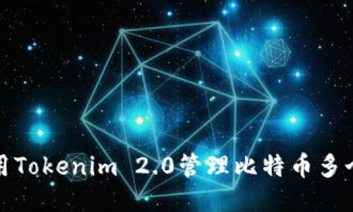 如何使用Tokenim 2.0管理比特币多个子地址