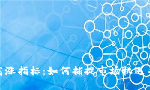 加密货币高涨指标：如何捕捉市场机遇并规避风险