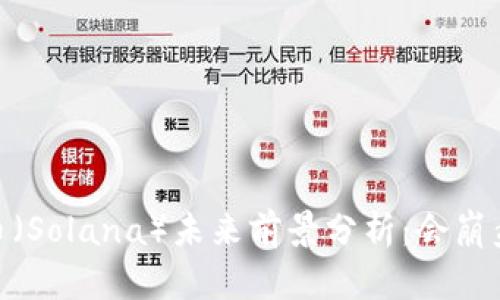 Sol币（Solana）未来前景分析：会崩盘吗？