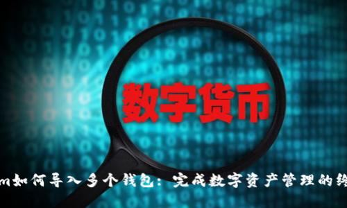 Tokenim如何导入多个钱包: 完成数字资产管理的终极指南