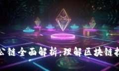 加密货币公链全面解析：理解区块链技术与应用
