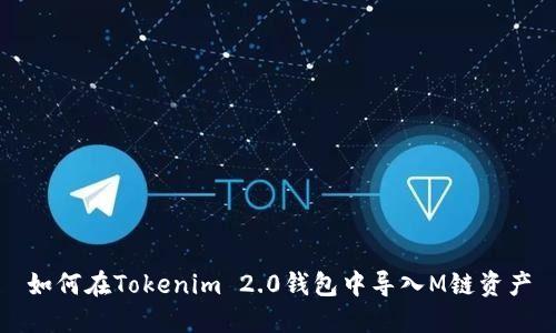 如何在Tokenim 2.0钱包中导入M链资产